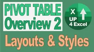 5 Step Pivot Table Overview Part 2: Layouts and Styles