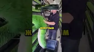 В России изобрели новый способ производства корма! 