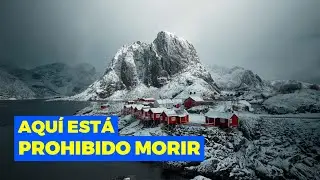 El Lugar Donde MORIR Está ⛔ "PROHIBIDO"