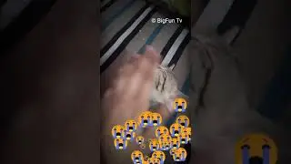 I got pranked by my cat 😂😂😂😂