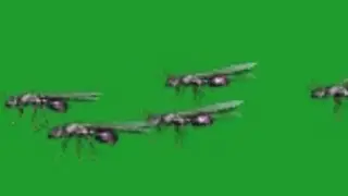 running ants - green screen effect