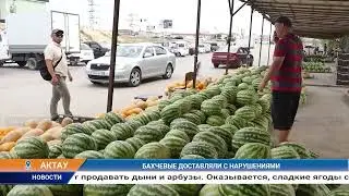 БАХЧЕВЫЕ ДОСТАВЛЯЛИ С НАРУШЕНИЯМИ