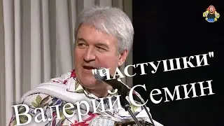 Валерий Семин 