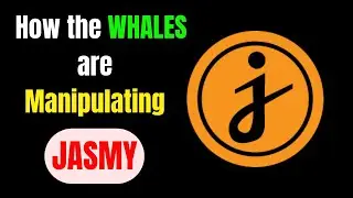 JASMY: How the Whales are Manipulating JASMY COIN