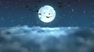 Sky Background Video Full Moon Copyright Free | Motion Graphic Clouds Black Bird 