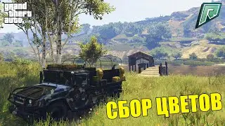 СБОР ЦВЕТОВ ИЛИ КАК ПОДНЯТЬ ДЕНЕГ НА РАДМИР ГТА 5 РП