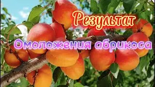 Формировка абриса.Удаление волчков
