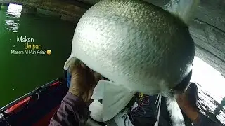 ADA JUGAK IKAN MAKAN UMPAN MACAM NI?🤣🤣  #80