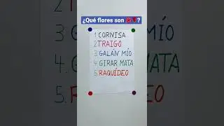 Razonamiento lógico ¿Qué FLORES son 🌺🌹?