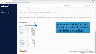 How to check disk usage of directory and bandwidth usage with CloudSpace