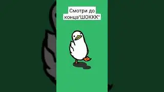 #short Шоккккк