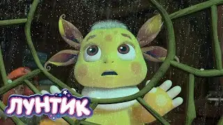Лунтик | Комета ☄☄☄ Сборник мультиков для детей