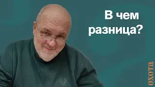 Косуля сибирская и европейская. Валерий Кузенков о том, почему запрещена охота.