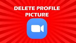 How To Remove Your Profile Picture In Zoom Meeting App 2020