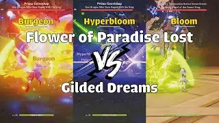 Flower of Paradise Lost VS Gilded Dreams (Bloom, Hyperbloom, Burgeon) DMG COMPARISON