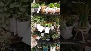 ФИКС ПРАЙС  новые товары для декора - ГЕРМАНИЯ