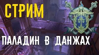 Паладин в данжах // Neverwinter online Мод.17