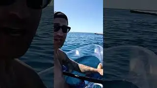 Transparent Kayak VS Whale..