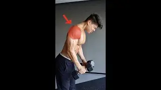 ARE YOU A TEEN TRYING TO GROW YOUR SHOULDERS?