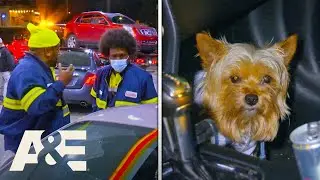 Towers Find A DOG Left in Car During Tow | Hustle & Tow | A&E