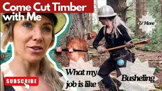 My Job as a Timber Faller! Discussing what my job is like, busheling, how I get paid, & more!