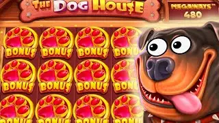 ЗАНОС В СЛОТЕ THE DOG HOUSE ВЫБИЛ БОНУСКУ ПО СТАВКЕ 300Р И ОНА ДАЛА 1000Х?!??!?! ZOOMA