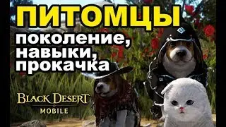 Все о питомцах в Black Desert Mobile