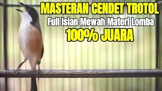 TEMBAKAN BURUNG CENDET FULL ISIAN BIKIN CENDET PASTOL YANG DENGAR JADI IKUT GACOR