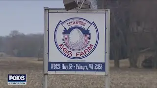 Bird flu spread impacts Wisconsin food prices | FOX6 News Milwaukee