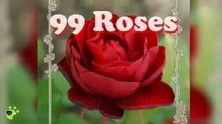 99 Roses Escape 99本のバラ 脱出ゲーム Full Walkthrough (rinnogogo rinの午後)