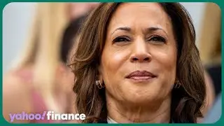 Kamala Harris is incredibly skilled: Evercores Schlosstein