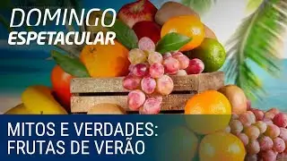 Mitos e Verdades: veja quais são os benefícios das frutas de verão