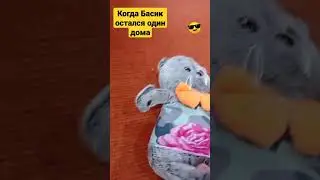 Когда Басик остался один дома!