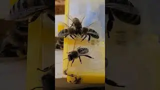 СООБРАЗИМ НА ТРОИХ 