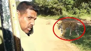 12 Times Indian Safari Trips Went Horribly Wrong