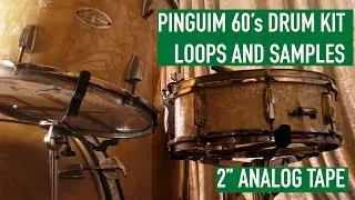 60's Pinguim Drum Kit Samples [2