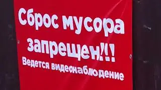 Здесь вам не тут! Мусор они, видите ли, выбросить захотели.