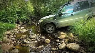 Проклятый старый ДОМ в глухой деревне среди ЛЕСА... Мы НАШЛИ его и покажем, что там... Нива Тревел.