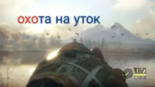 охота на уток в игре The hunter call of the wild часть  1