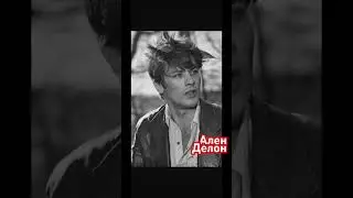 Ален Делон, Роми Шнайдер, Джейн Фонда, Клаудиа Кардинале 
