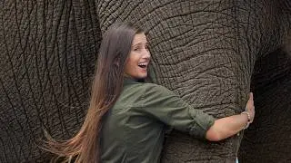 I Hugged the LARGEST Elephant in the World