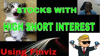 How to Find High Short Float/Interest Using Finviz 🦍💎