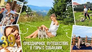 ПРАЗДНИЧНЫЙ DOG VLOG: Мой День Рождения/ Сняли Домик в Горах/ Автопутешествие с Собаками по Польше