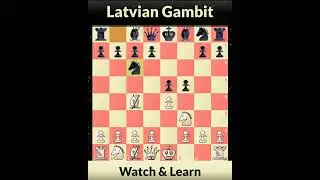 Latvian Gambit Chess Trap 2 | Learn Chess Trap in 30 Seconds | Queen Trap