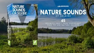 Nature Ambience Sound Effects no copyright