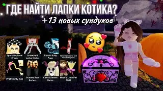 ГДЕ НАЙТИ ЛАПКИ КОТИКА? 13 НОВЫХ СУНДУКОВ! КАК ПОЛУЧИТЬ СЕТ КОТИКА В РОЯЛ ХАЙ?