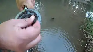 Находки на ПОИСКОВЫЙ МАГНИТ с ужасной МУЗЫКОЙ !!!