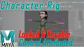 Character Rig Locked & Keyable Attributes in MAYA | How to control Rig with custom attributes