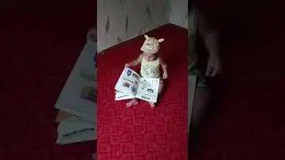 Богдан и книга😀