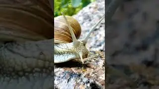Я немного опаздываю на День рождение  - но скоро буду 